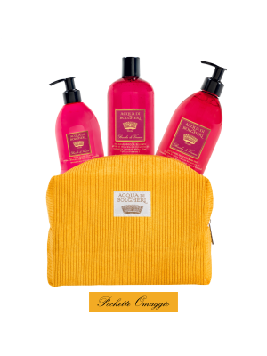 SET BACCHE DI VINUM IN POCHETTE DI VELLUTO GOLD