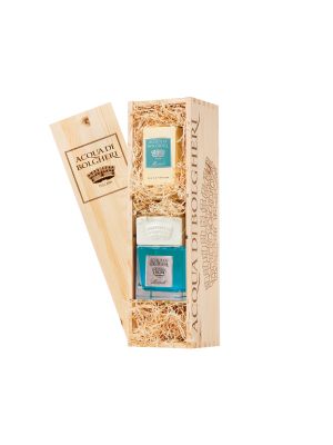 LARGE GIFT BAG WITH FRAGRANCE DIFFUSER + PERFUME (COMPONABLE)